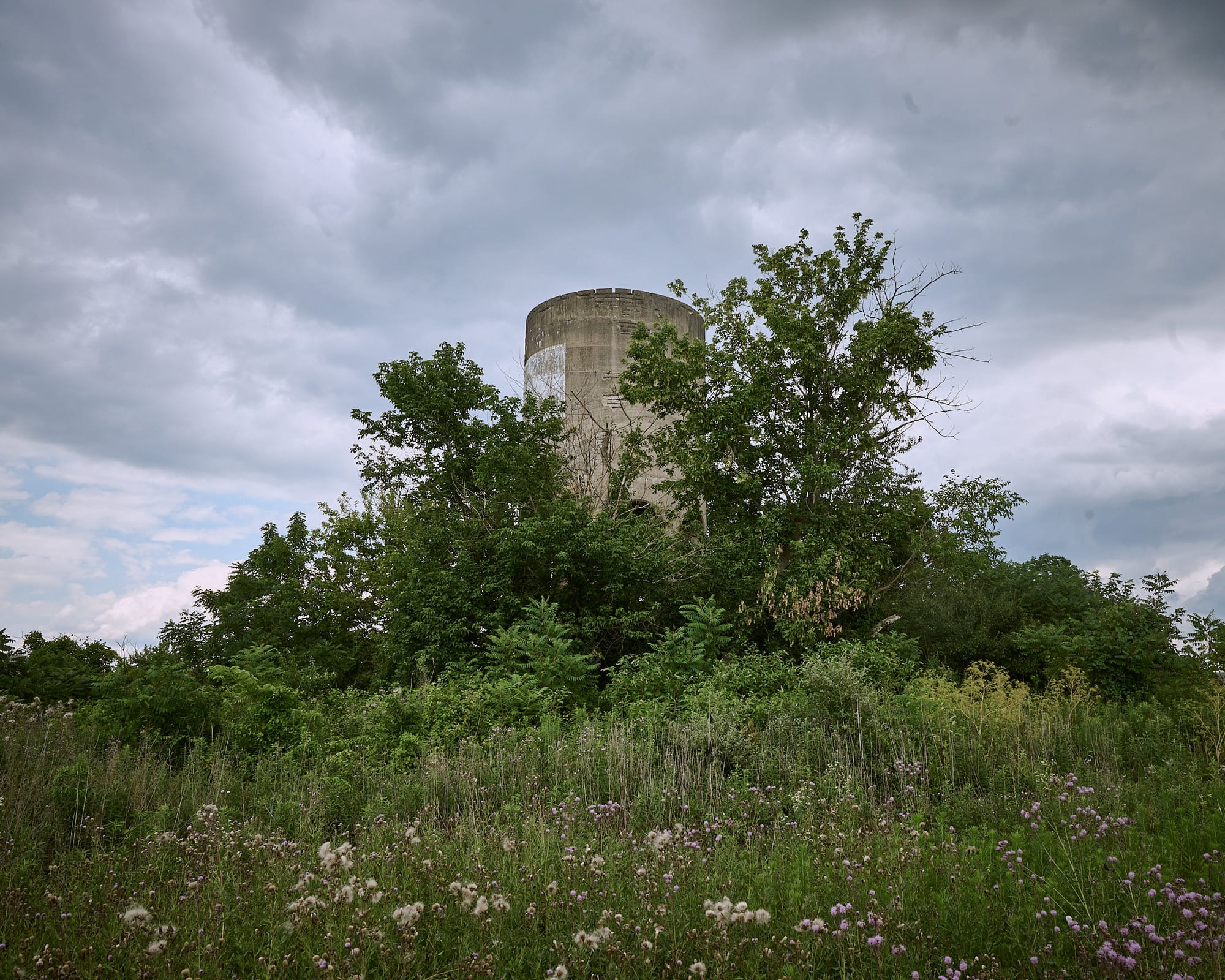 water tower in weeds