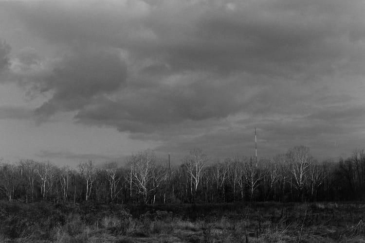 Reach For The Sky (Photo of the Day 11.30.2025)