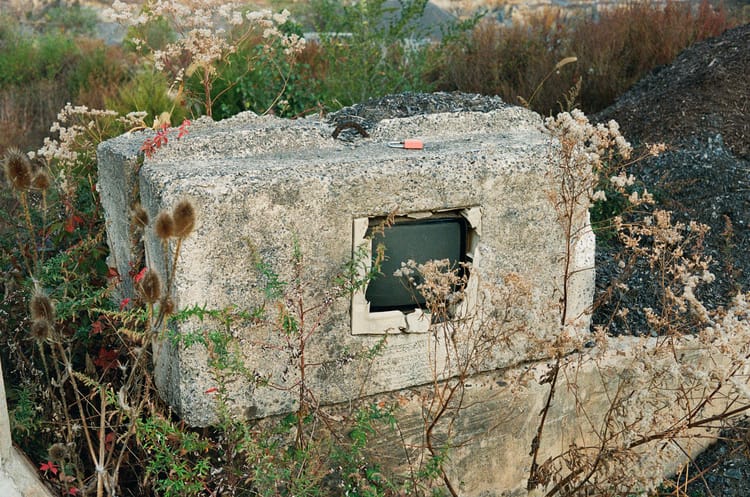 Picture of the day 11.20.2025