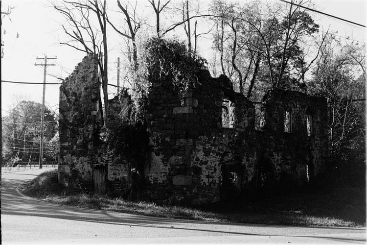 Bonus Photo for 11.14.2025