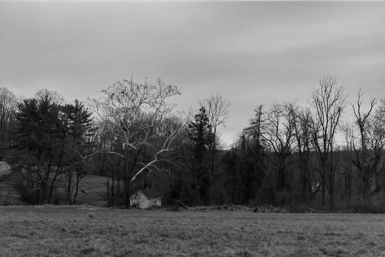 White on White (Photo of the Day 12.09.2025)