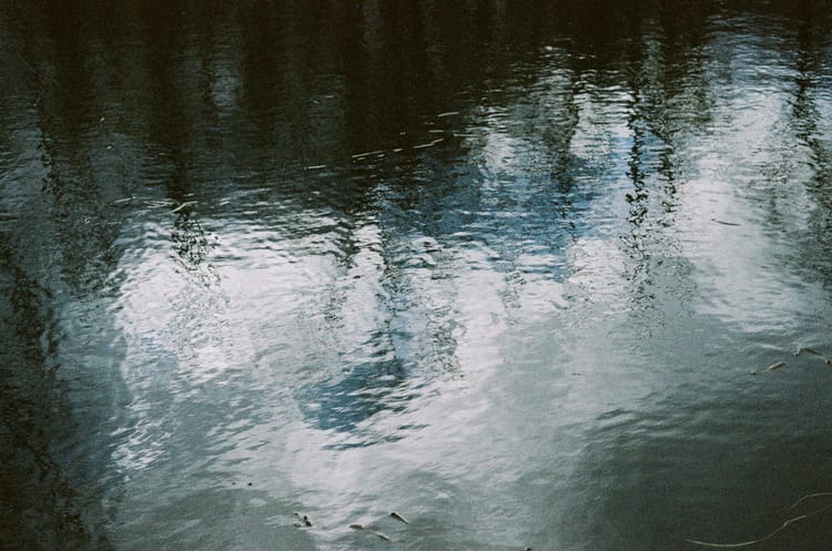Like Water (Photograph of the Day 12.17.2025)