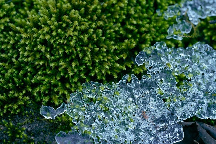 Forgotten Realms (Photo of the Day 12.4.2025)