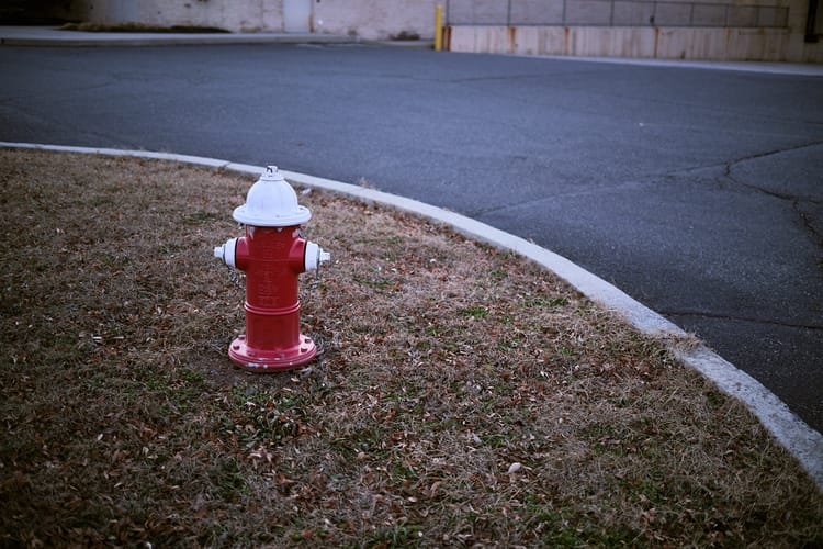 Finding Color Where We Can (Photo of the Day 12.12.2025