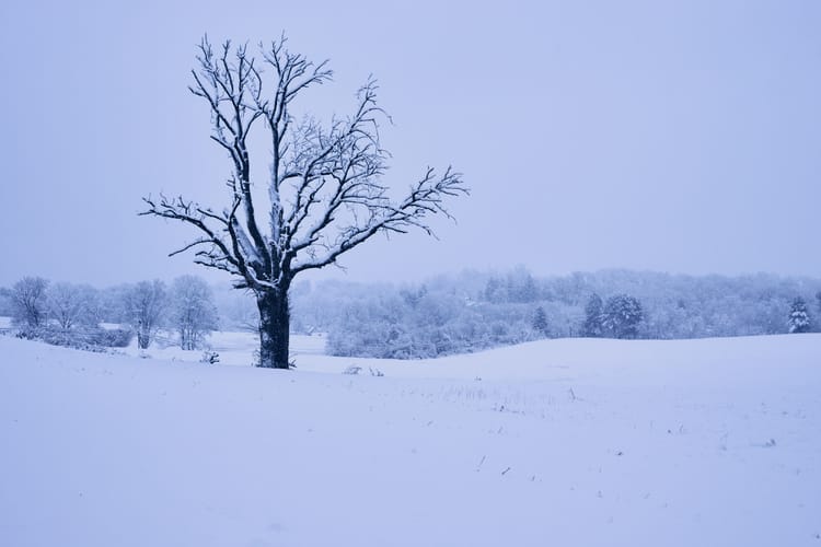 To Everything There is a Season