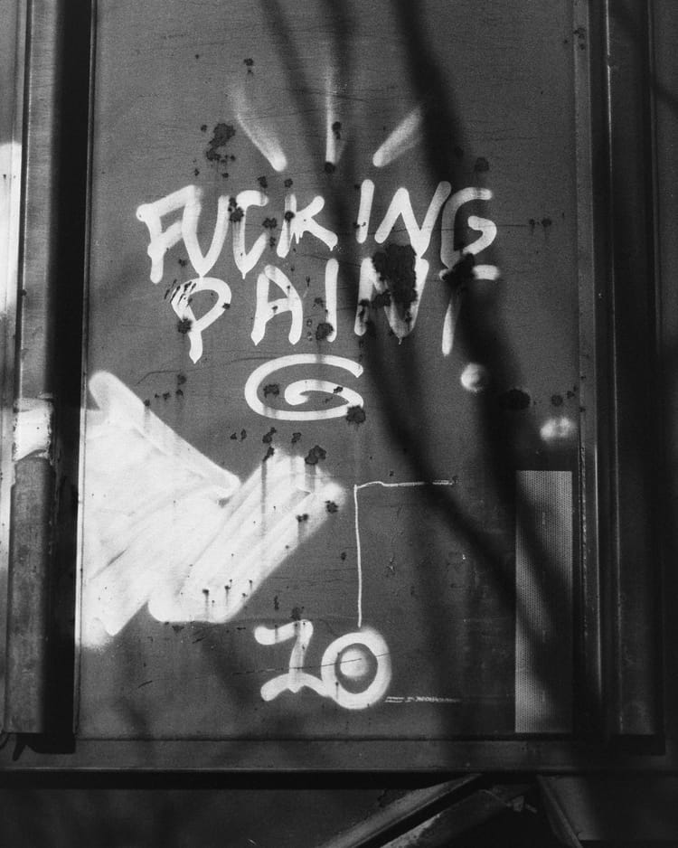 Trumpism as Vandalism