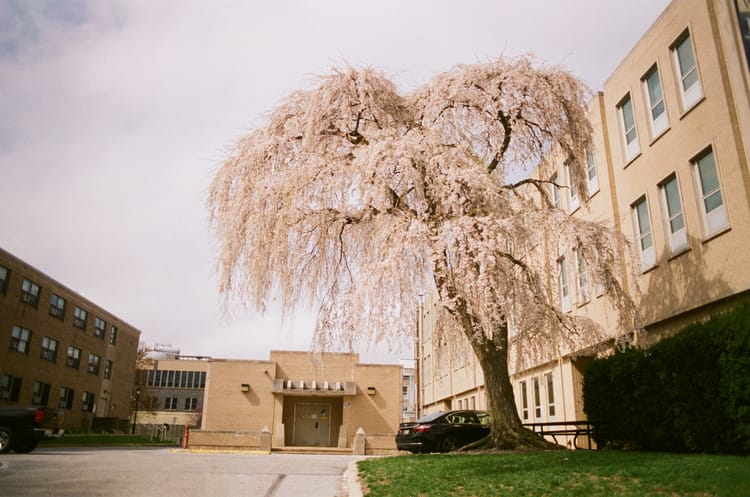 Springtime (Photo of the Day 04.23.2026)