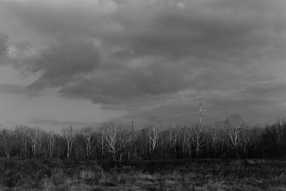 Reach For The Sky (Photo of the Day 11.30.2025)