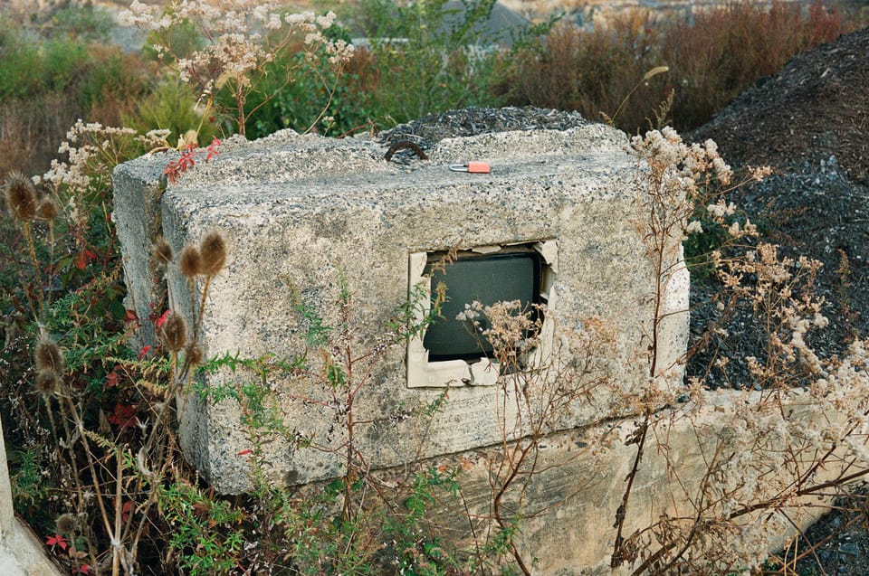 Picture of the day 11.20.2025