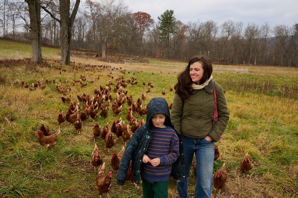 A boy and his mom lead a line of chickens