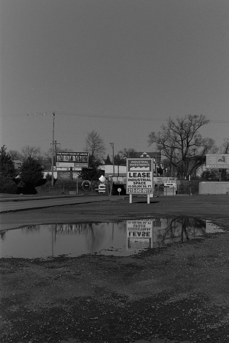 The Many Faces of Abuse (Picture of the Day 12.3.2025)