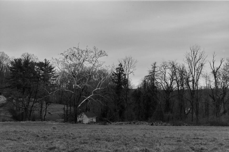 White on White (Photo of the Day 12.09.2025)