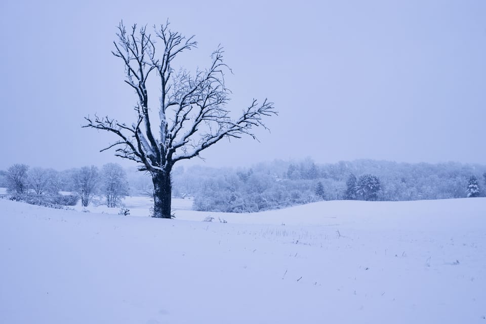 To Everything There is a Season