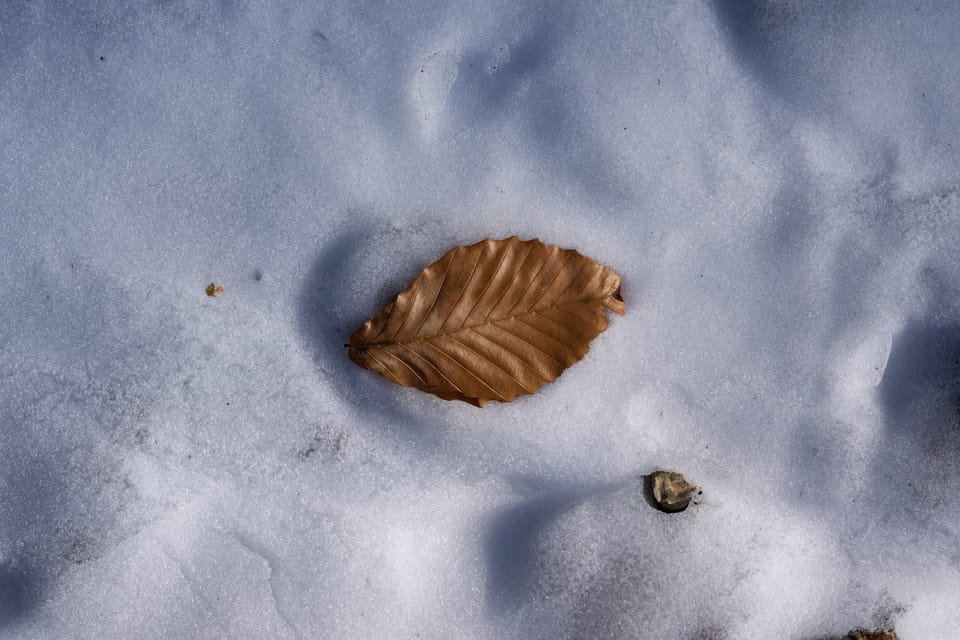 More Soon (Photo of the Day 01.22.2026)